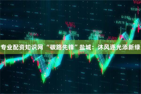 专业配资知识网 “碳路先锋”盐城：沐风逐光添新绿