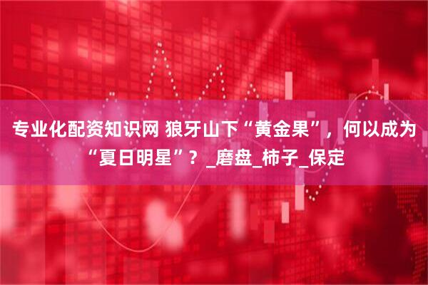 专业化配资知识网 狼牙山下“黄金果”，何以成为“夏日明星”？_磨盘_柿子_保定